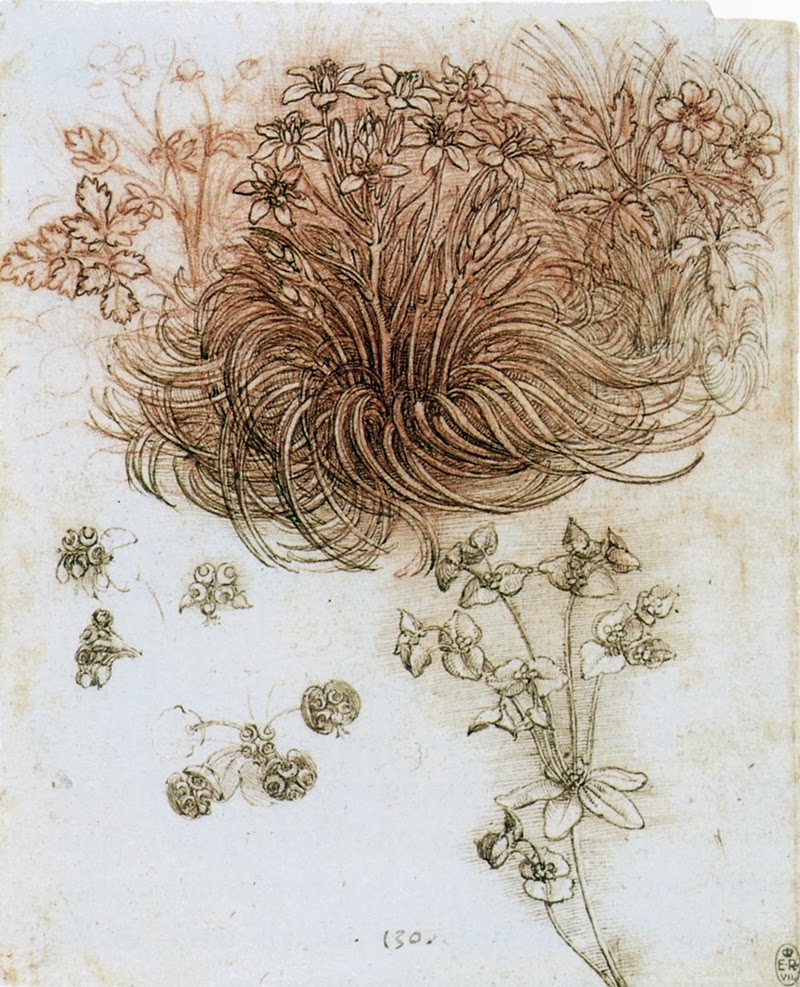 Leonardo+da+Vinci-1452-1519 (330).jpg